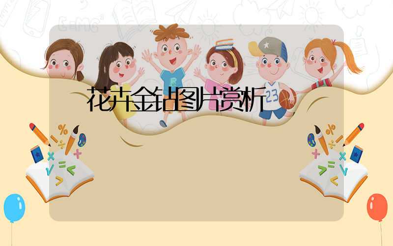  花卉金钻图片赏析